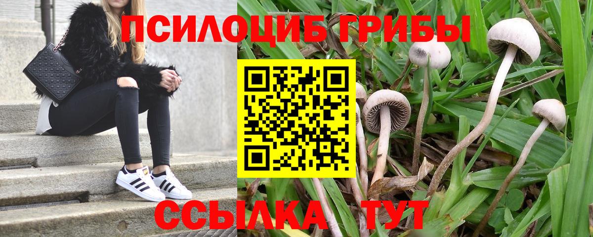 Псилоцибиновые грибы прущие грибы Касимов